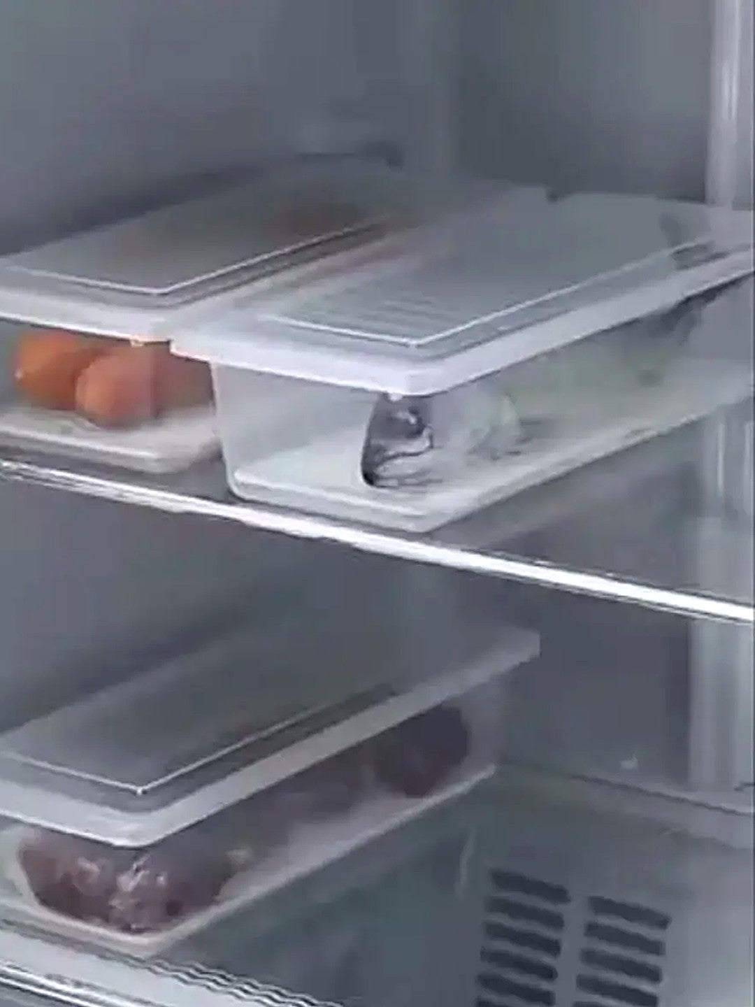 Fridge Storage Containers Pack of 6